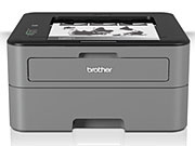 Brother HL-L2360DN