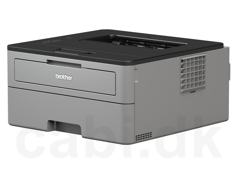 Brother HLL2310D Laserprinter HLL2310D