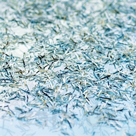 Top Secret Makulator Dahle 616air Cleantec