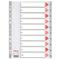 Esselte PP Register 100105
