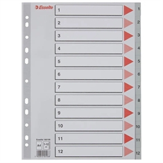 Esselte PP Register 100106
