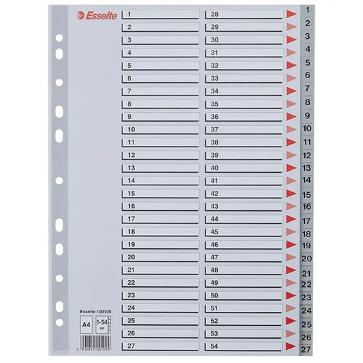 Esselte PP Register 100109