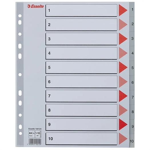 Esselte PP Register 100124