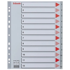 Esselte PP Register 100125