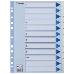 Esselte PP Register 100136