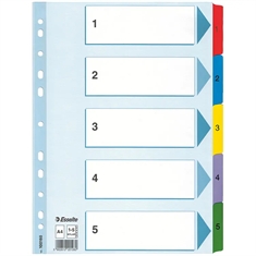 Esselte Mylar Register 100160