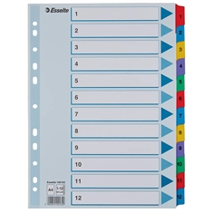 Esselte Mylar Register 100162