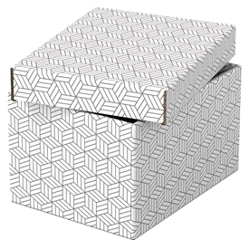 Esselte Home Opbevaringsboks 628280