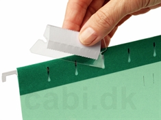 Pendaflex EasyView Fane 94613