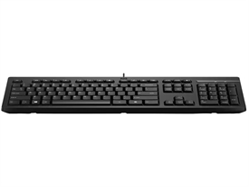 HP AY2Y7AA 125 Wired Keyboard