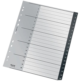 Leitz recycle PP Register 12110000