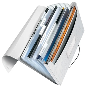 Leitz WOW PP Projektmappe 45890001