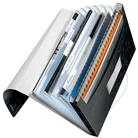 Leitz WOW PP Projektmappe 45890095