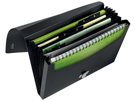 Leitz recycle PP Projektmappe 46240095