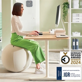 Leitz Ergo Balancebold Lys Grå